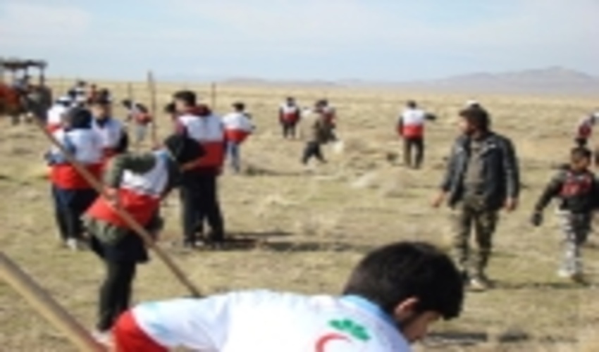 گزارش تصویری مراسم نهالکاری در استان تهران