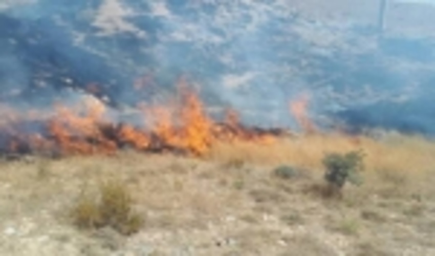 حریق عرصه های طبیعی فیروزکوه طی سال جاری  85 درصد کاهش داشته است