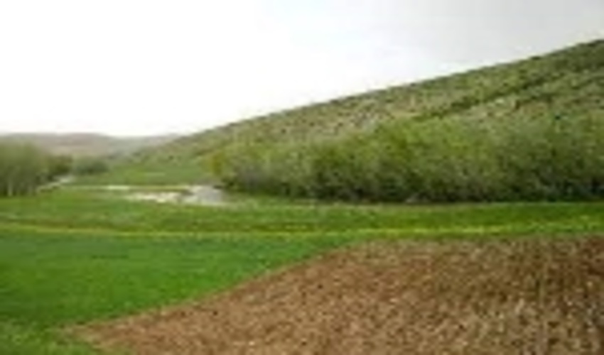 رکورد شکنی اداره منابع طبیعی و آبخیزداری شهرستان ملارد در اخذ سند در اراضی ملی 