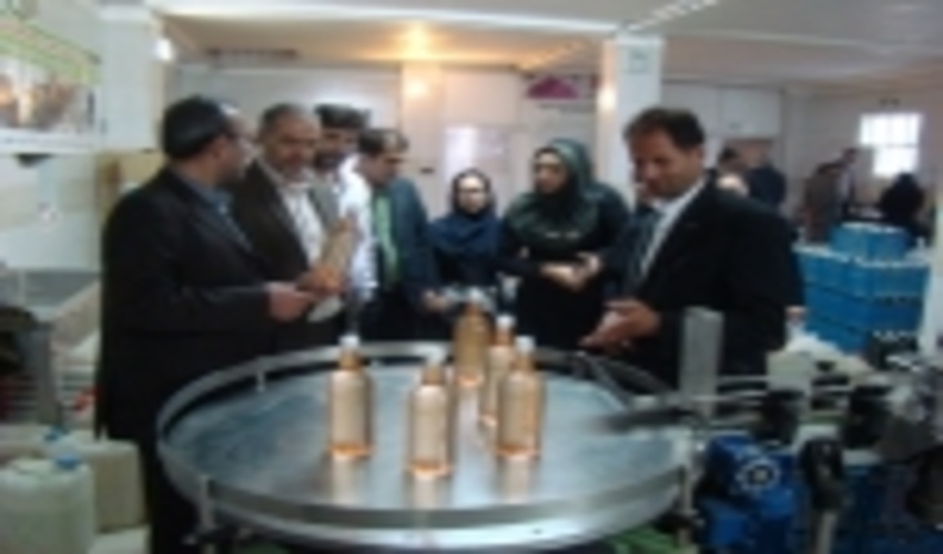 کارشناسان دفاتر فنی سازمان جنگل ها و منابع طبیعی استان تهران از طرح توانمند سازی جوامع محلی در فیروزکوه بازدید کردند