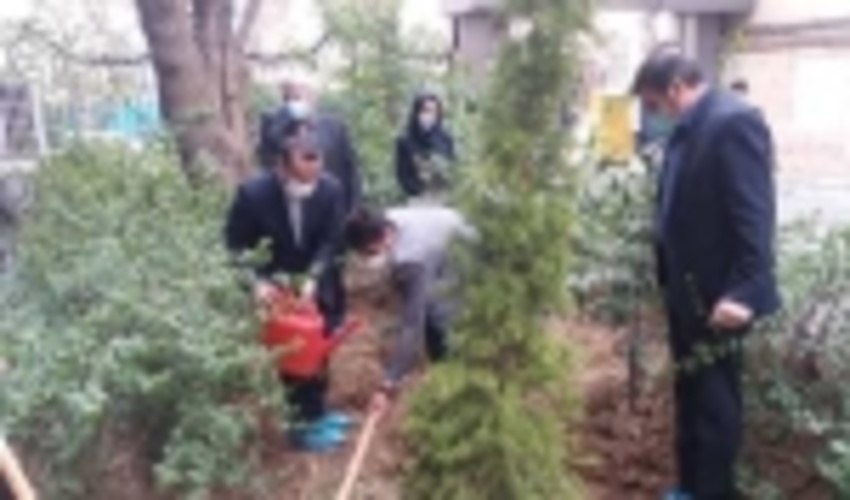 توسعه جنگل کاری و ایجاد فضای سبز یکی از نیازهای اصلی استان تهران است