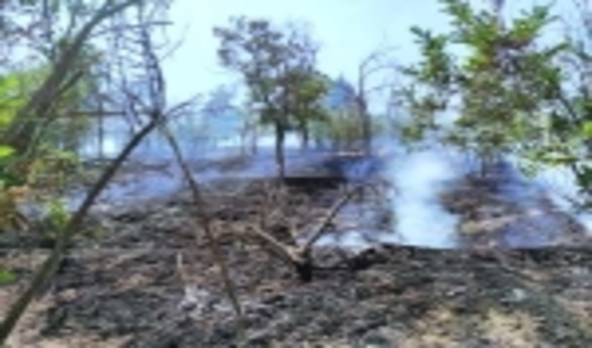 اطفاء آتش در پارک جنگلی لتیان