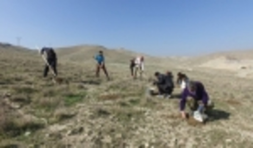 اقدامات بیولوژیکی در مراتع استان تهران