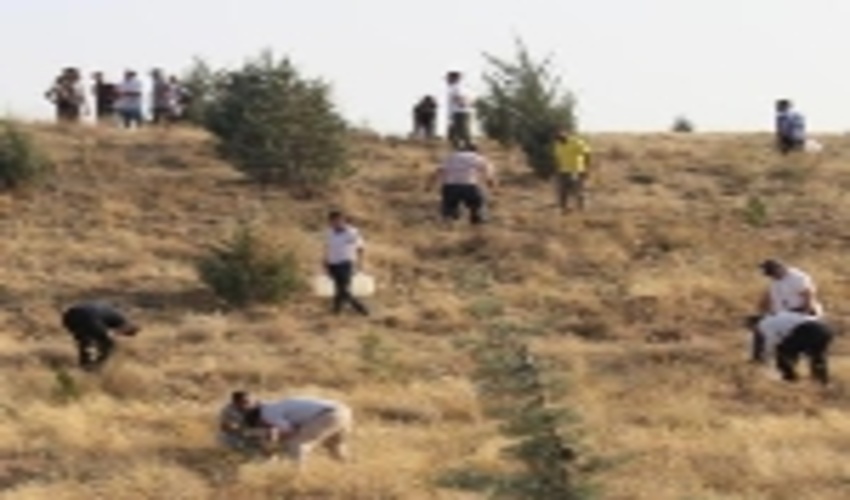 آبیاری منطقه جنگل کاری سرخه حصار جاجرود