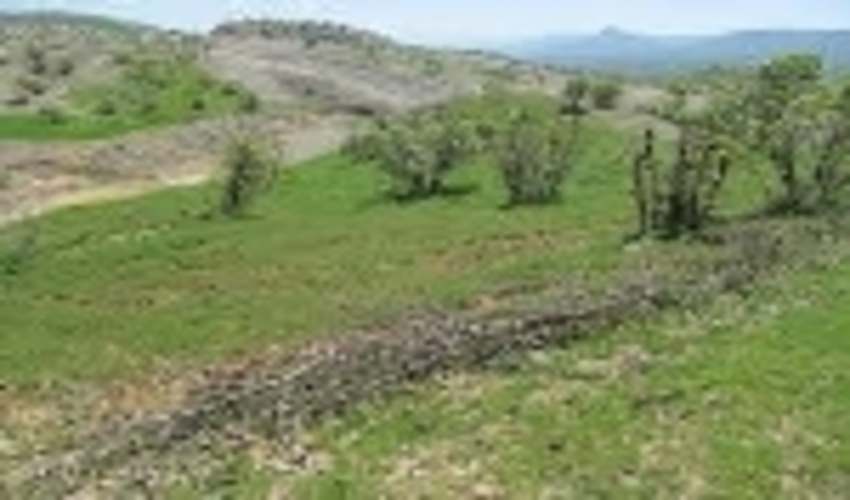 بیش از 55 درصد از اراضی ملی شمیرانات اصلاح هندسی شد