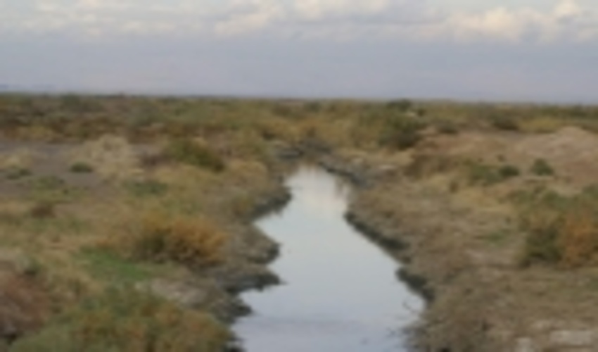 با خشک شدن تالاب بند علی خان کانون جدید گرد و غبار در راه است