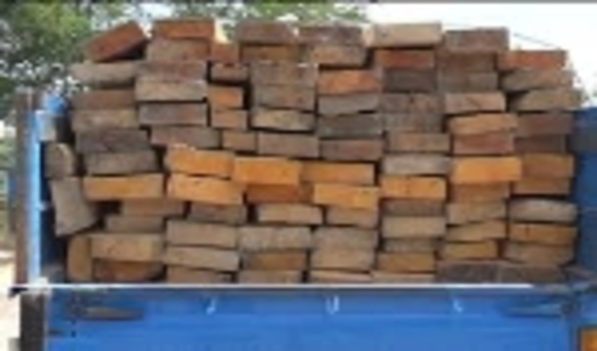 کشف و ضبط 3 تن چوب قاچاق در شهرستان پردیس 