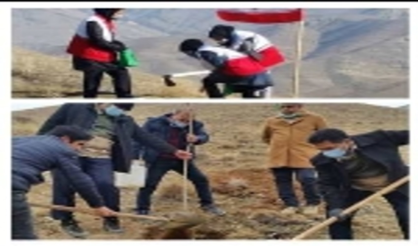 شروع پویش مردمی بذر کاری و نهال کاری همزمان در سراسر کشور 