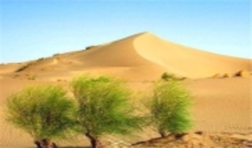 بیابان زایی؛ دردی که به جان زمین افتاده!