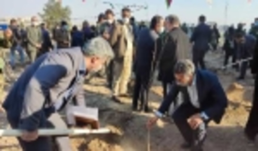 پویش مردمی نهال کاری در شهرستان پیشوا                         