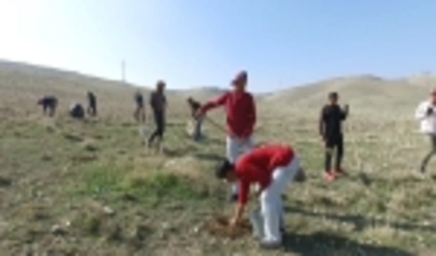 530هکتار بذرکاری و 220هکتار جنگل کاری در شهرستان پردیس