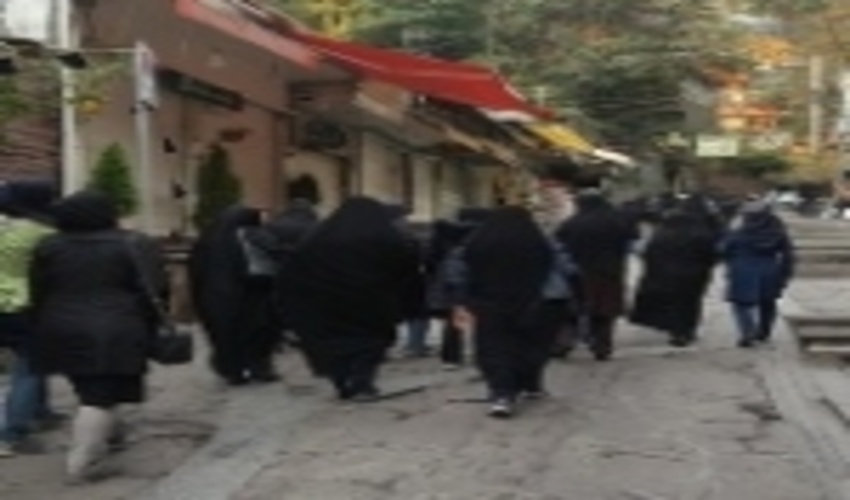 برگزاری اردوی فرهنگی - تفریحی بانوان شاغل در منابع طبیعی استان تهران