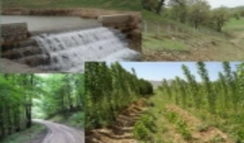 درخانه بمانید و به بوستان ها نروید