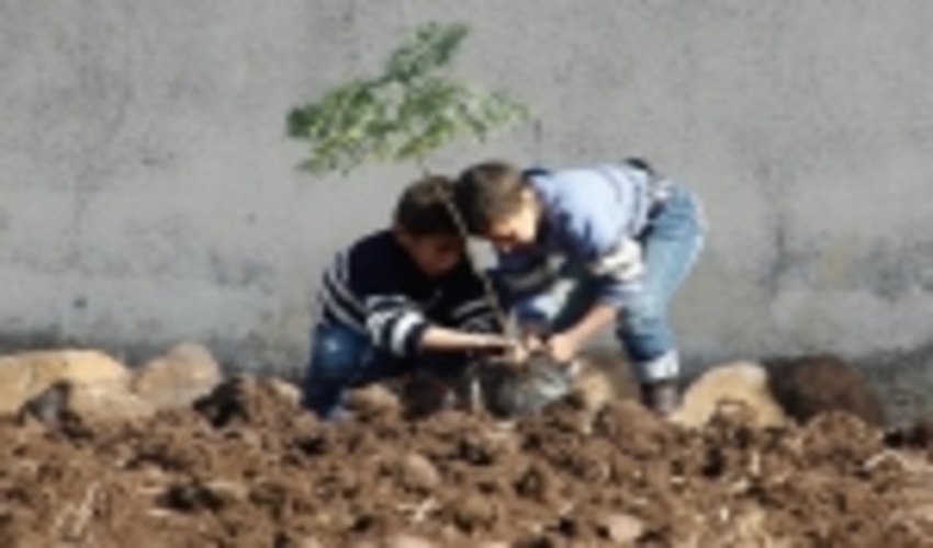  کاشت ۵۰۰ میلیون اصله نهال در پویش ایران سرسبز