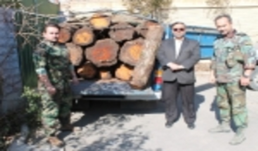 کشف محموله 2/5 تنی چوب جنگلی قاچاق در غرب استان تهران