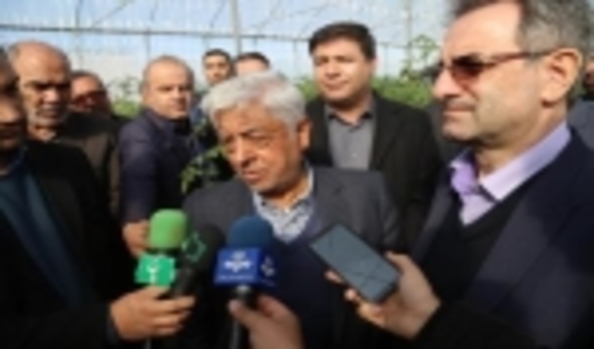 حمایت های منابع طبیعی در راستای رونق تولید به بار نشست