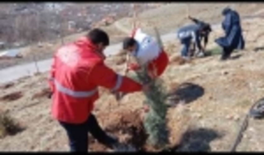 برگزاری مراسم درختکاری در شهرستان دماوند 