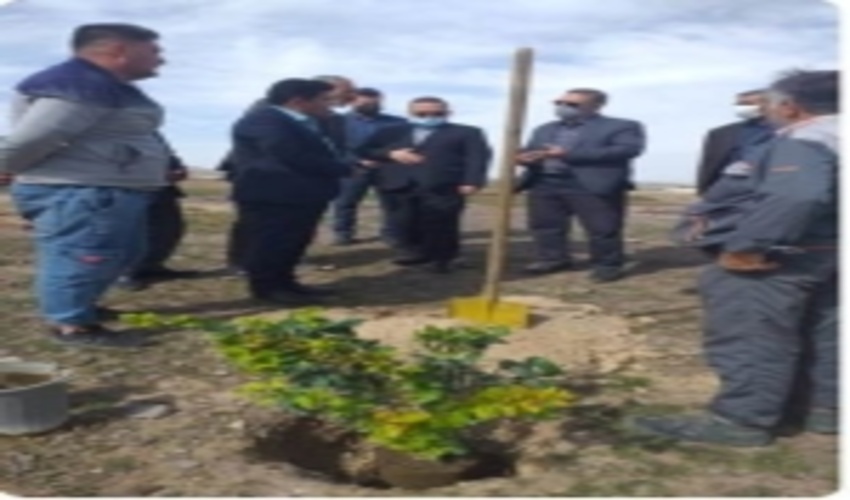 برگزاری مراسم درختکاری در شهرستان شهریار