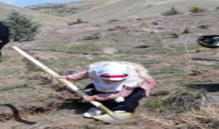 مراسم درختکاری به مناسبت هفته منابع طبیعی