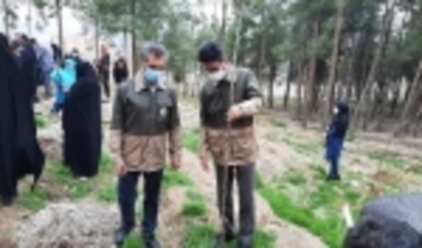 پویش نهالکاری در شهرستان پیشوا 