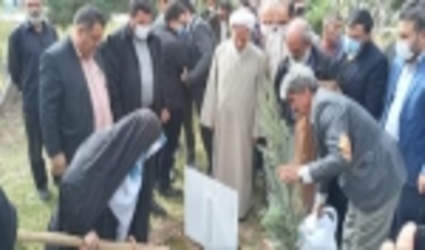 پویش نهالکاری در شهرستان پاکدشت