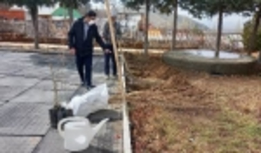 پویش نهالکاری درگلزار شهدای حضرت رقیه (س) شهرستان دماوند