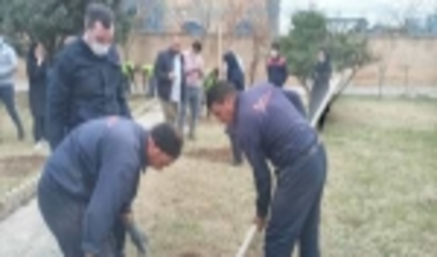   نهالکاری در شهرستان پاکدشت 