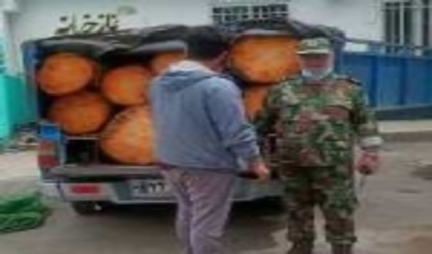 کشف و ضبط بیش از پنج تن چوب قاچاق  در شهرستانهای شهریار و رباط کریم
