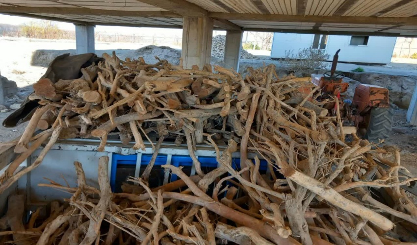  کشف و ظبط 700 کیلوچوب قاچاق در شهرستان ملارد 