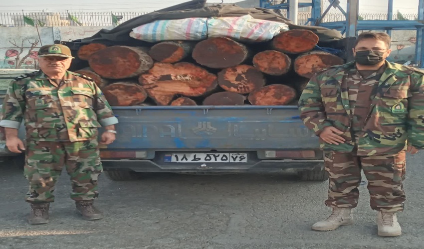 کشف و ظبط  1300  کیلو چوب قاچاق در شهرستان بهارستان 