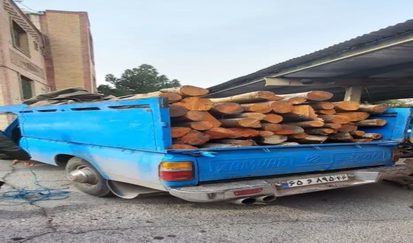 توقیف محموله قاچاق چوب در شهرستان بهارستان 
