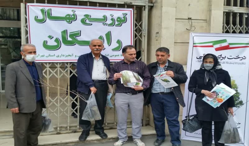 توزیع نهال رایگان 