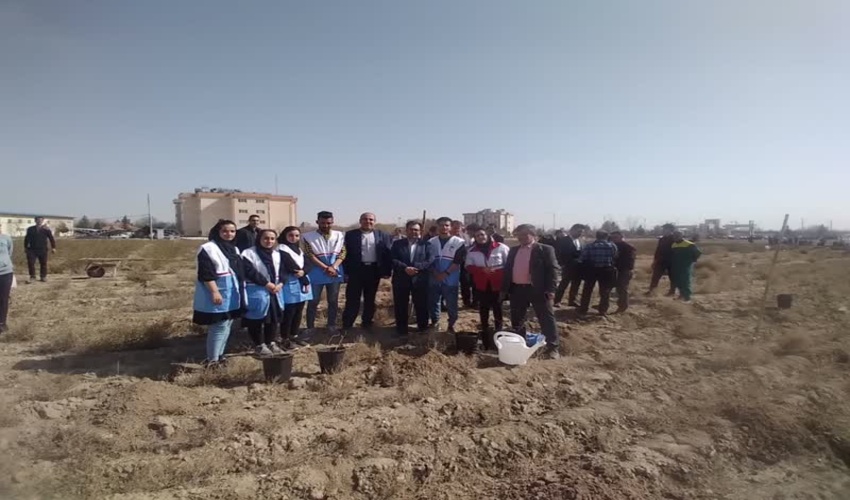 کاشت سه هزار اصله نهال در شهرستان ملارد