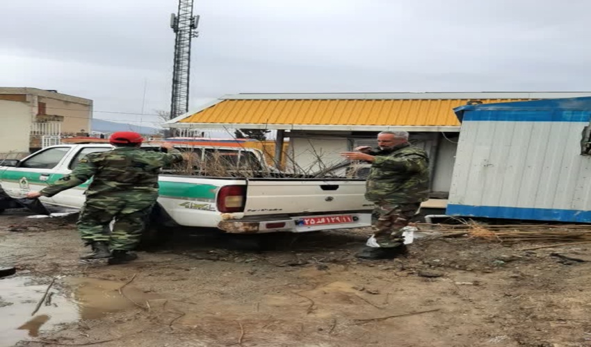 توزیع نهال رایگان در شهرستان پردیس به روایت تصویر 