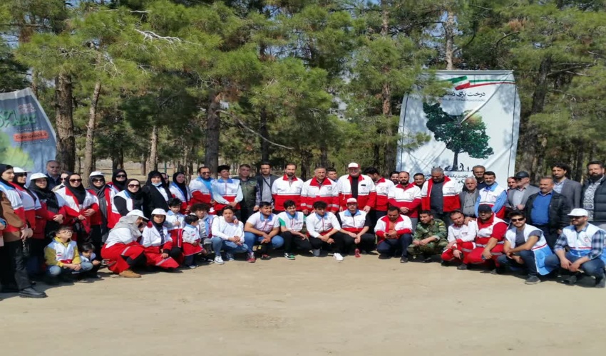 رکورد زنی کاشت نهال در دنیا 