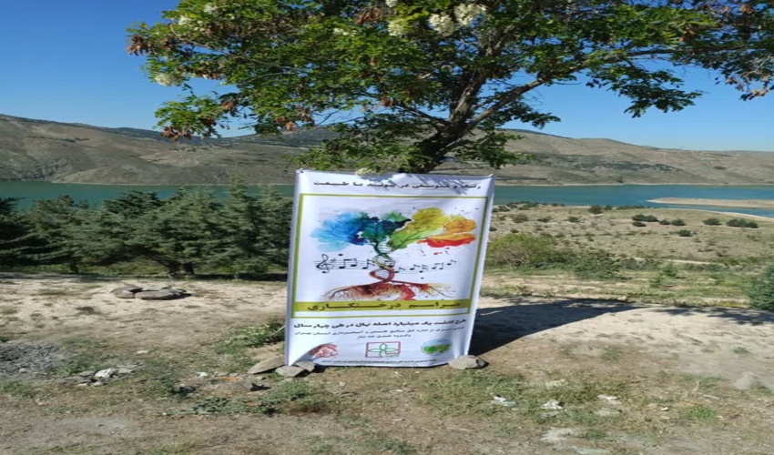 رنگ و موسیقی در پیوند با طبیعت