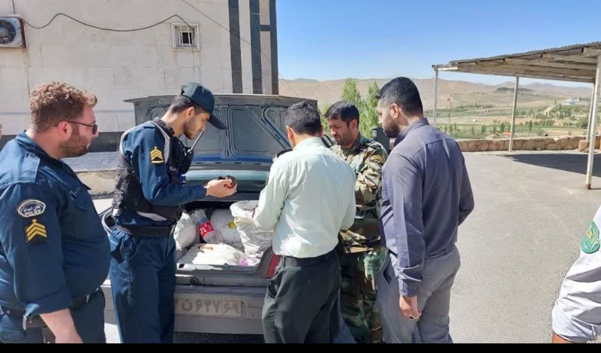 کشف و ضبط 100 کیلوگرم «ترافل» در شهرستان فیروزکوه