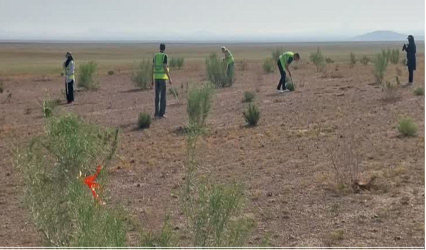 اجرای عملیات مبارزه با آفات