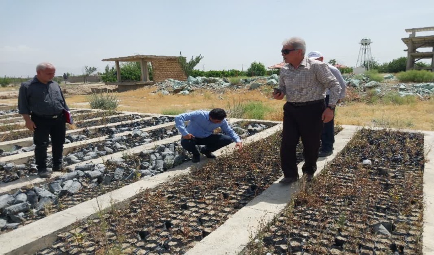 بازدید از نهالستان شهرستان ملارد