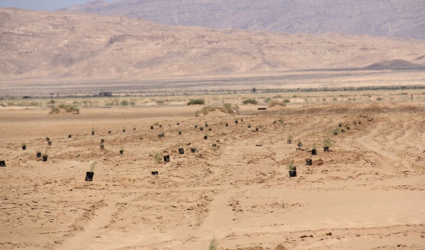 اقدامات و عملکرد سنواتی فعالیت های بیابانزدایی در  استان تهران