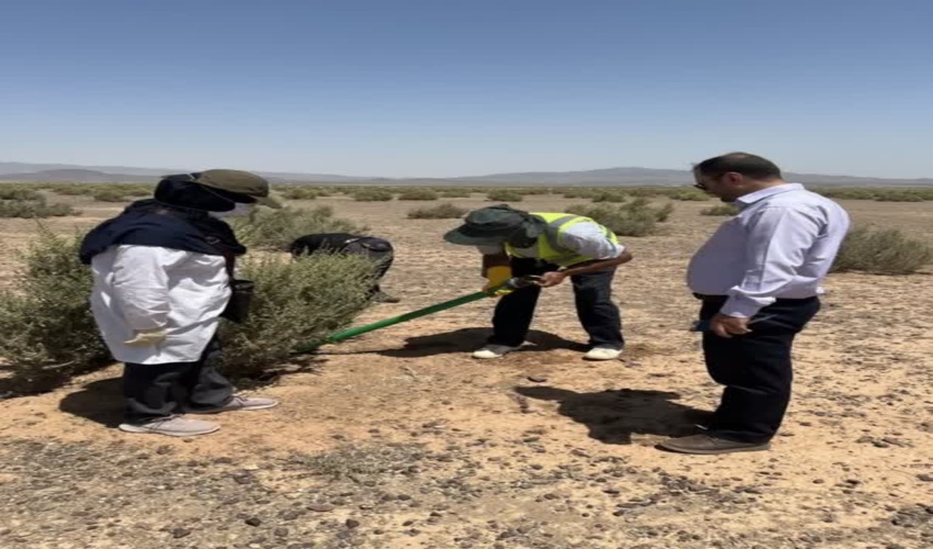 مبارزه با آفات گیاهان در استان تهران 