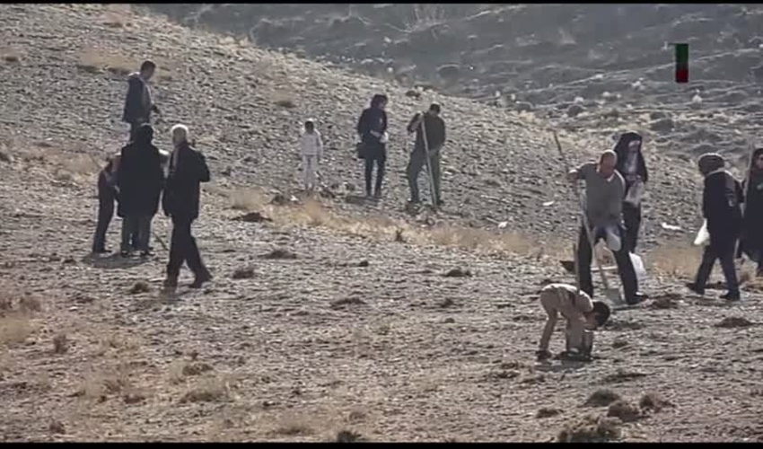 بذرافشانی حاشیه جنوبی فاز هشت پردیس