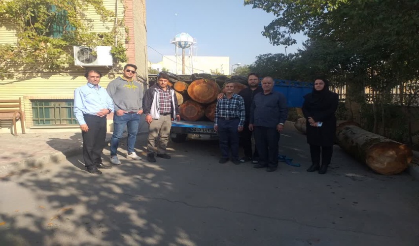 کشف و ضبط 3000 کیلو گرم   چوب قاچاق در شهرستان رباط کریم  