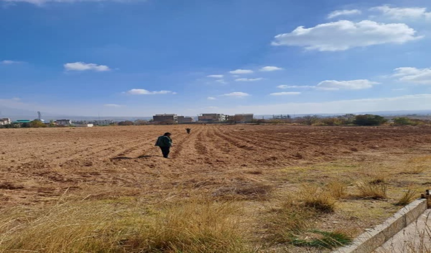 کاشت بذور مرتعی در شهرستان دماوند