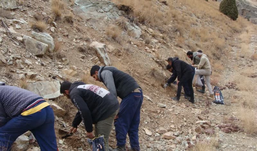  بذر کاری  20 هکتار از اراضی پلاک های حاجی آباد و آخورین شهرستان شمیرانات