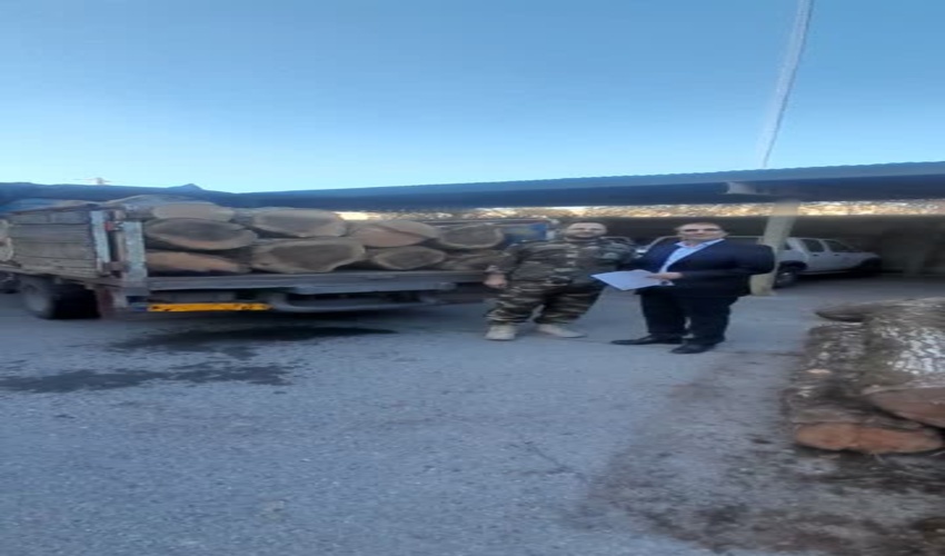 کشف و ضبط 2 هزار 500 کیلو گرم چوب قاچاق در  شهرستان های جنوب غربی استان تهران