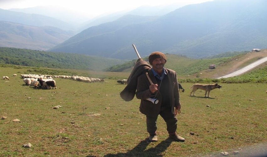 مدیرکل دفتر امور مراتع سازمان منابع طبیعی کشور عنوان کرد؛ حفظ معیشت‌ جوامع عشایری مستلزم توجه ویژه به مراتع است