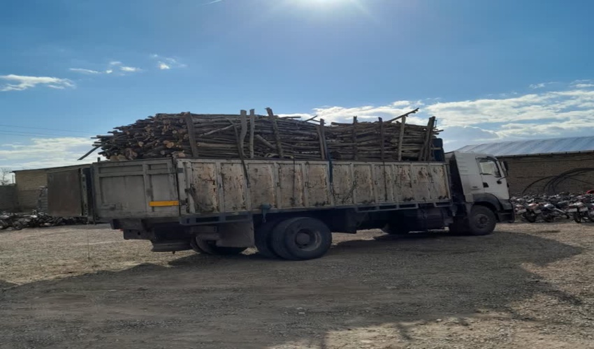 قاچاقچیان چوب در دام حافظان منابع طبیعی