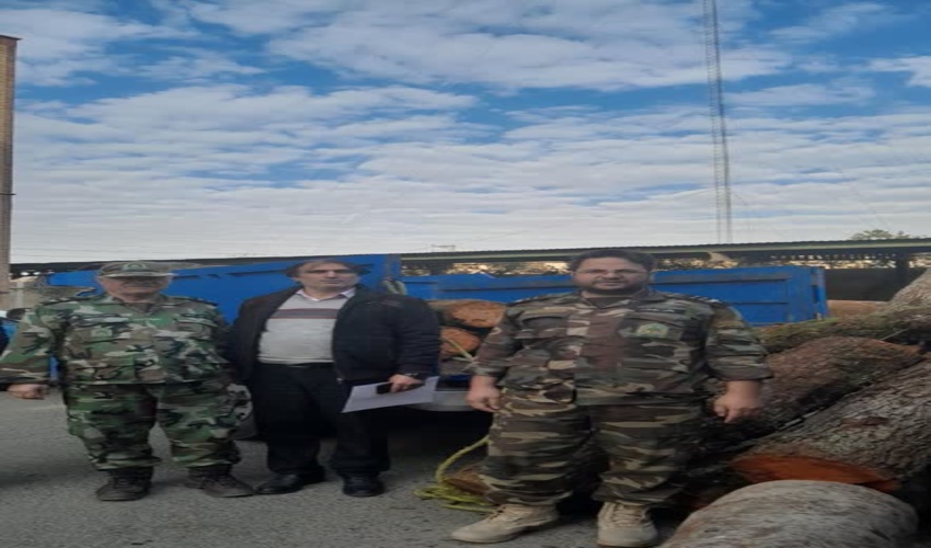 کشف و ضبط ۱۵۰۰ کیلو گرم چوب قاچاق  