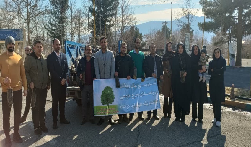 توزیع نهال رایگان به روایت تصویر